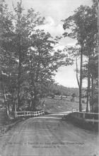 SA1622 - View of gateway of trees on State Road near New Lebanon, NY Shaker village. Identified on the front., Winterthur Shaker Photograph and Post Card Collection 1851 to 1921c